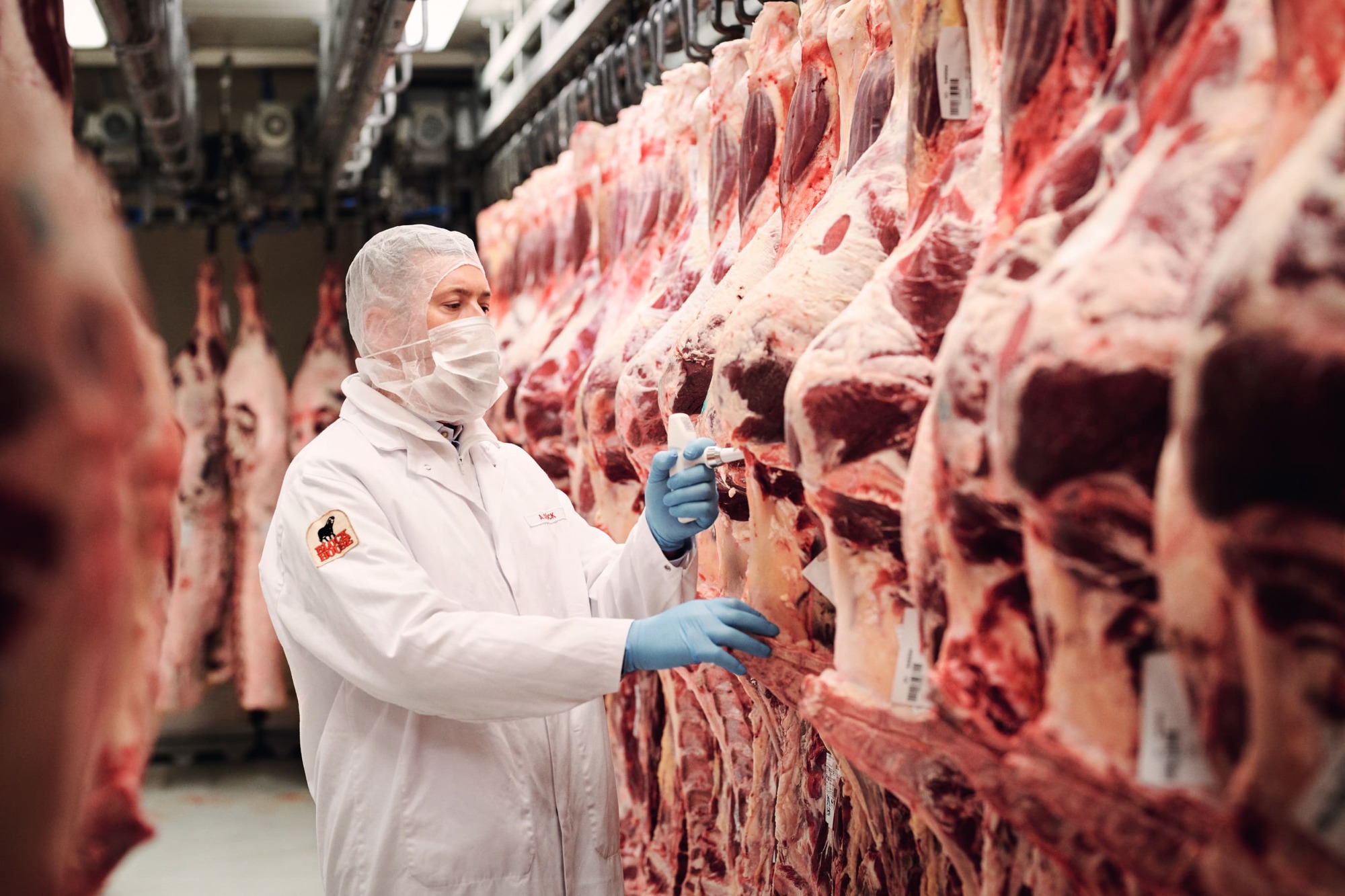 Mitarbeiter in der Fleischerei überprüft das Fleisch 